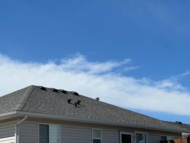 Best Roof Ventilation Installation  in Fort Washington, PA